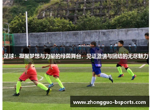 足球：凝聚梦想与力量的绿茵舞台，见证激情与团结的无尽魅力