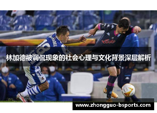 林加德被调侃现象的社会心理与文化背景深层解析