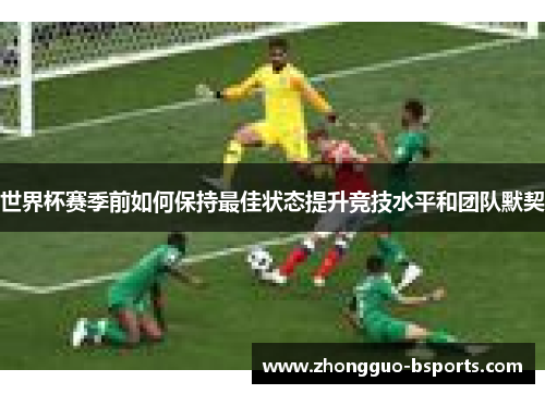 世界杯赛季前如何保持最佳状态提升竞技水平和团队默契 世界杯赛季前如何保持最佳状态提升竞技水平和团队默契